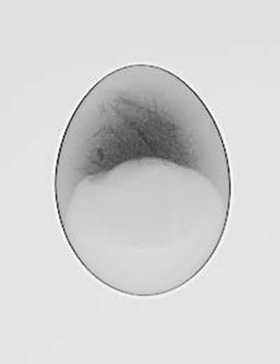 X-Ray of the Egg 